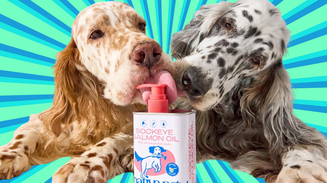 After 12 Years Of Shedding, Dog Owners Call This Fish Oil A ‘Game Changer’ — And It’s Finally Under $20