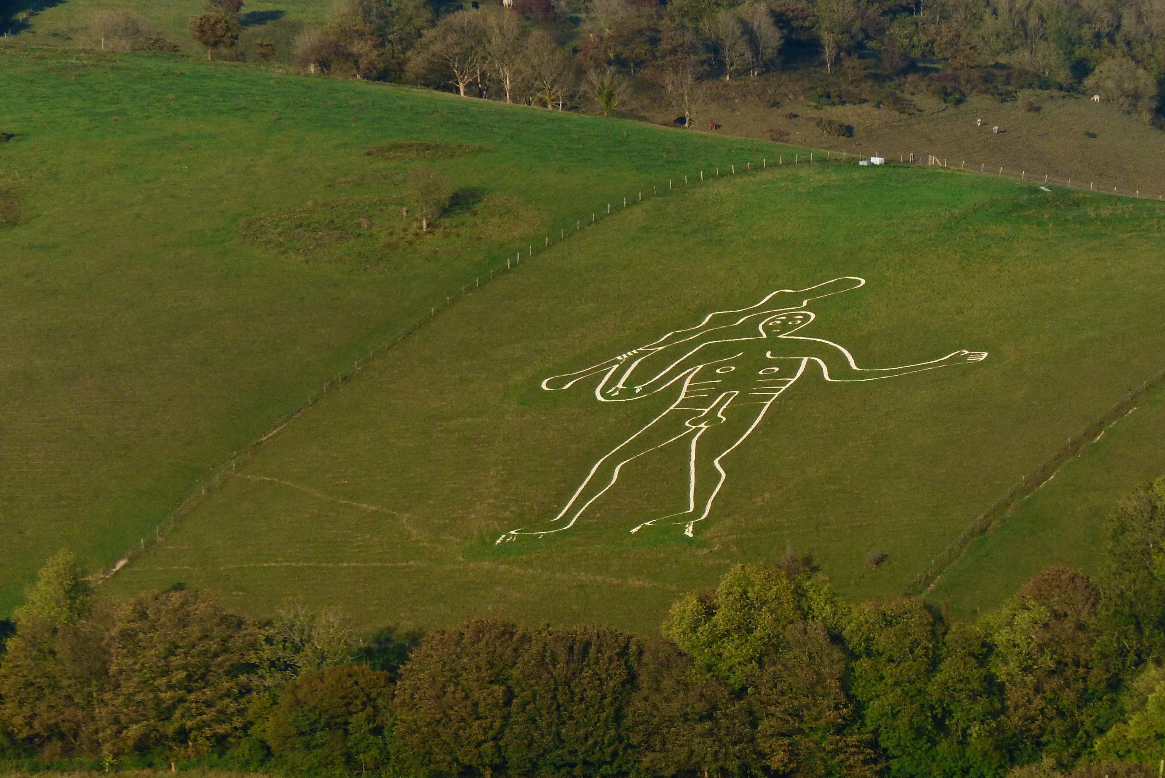 地上絵ストーン 画像】誰が描いた…？謎の「裸の男性」地上絵に5億円超の寄付⇨保存の