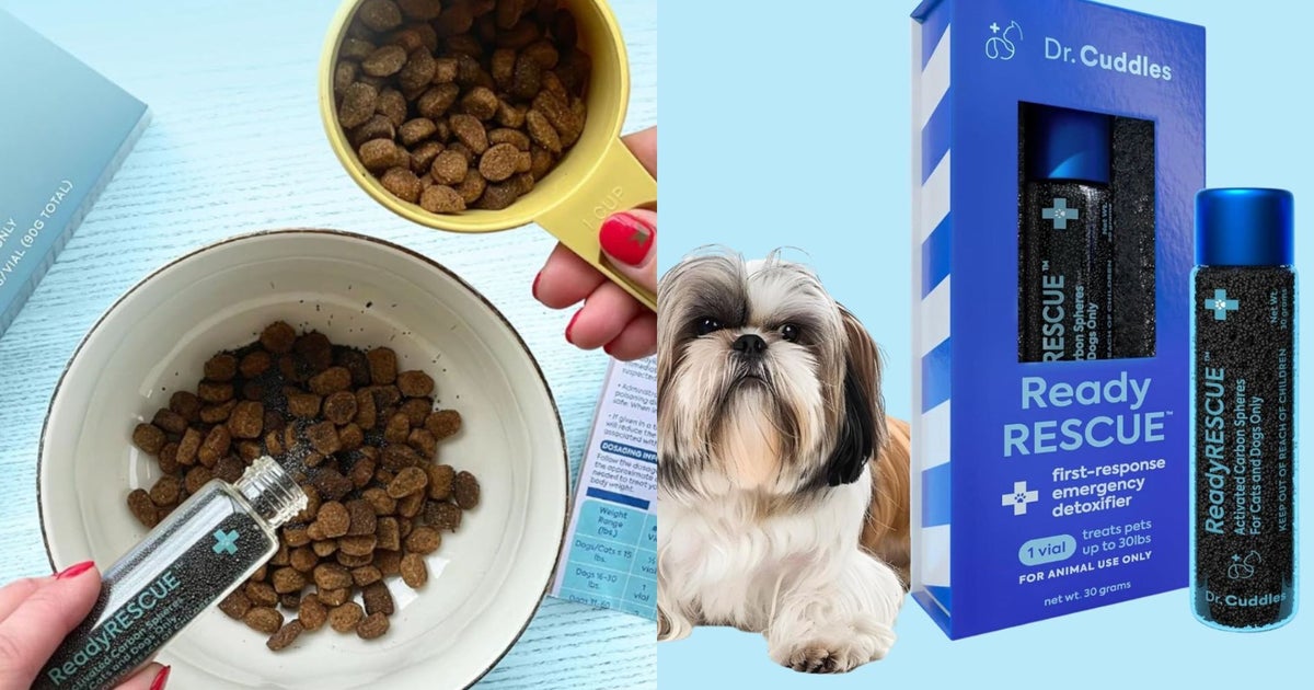 There’s 1 Pet First-Aid Item You’re Probably Missing — And A Vet Explains Why It Matters