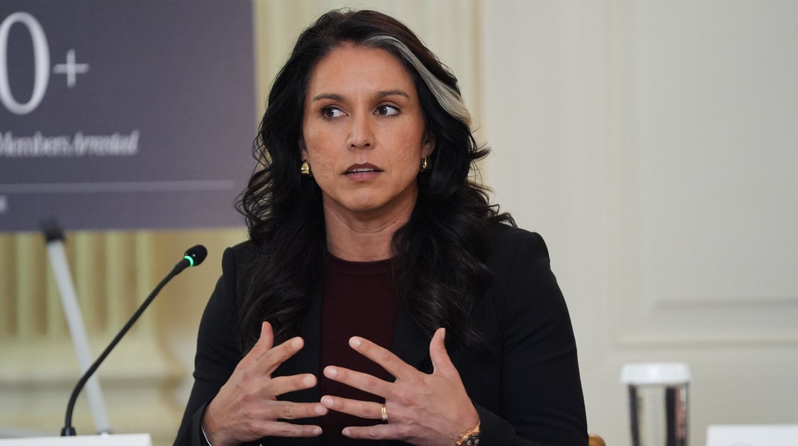 Tulsi Gabbard blockierte NSA-Bericht über ein besorgniserregendes ...