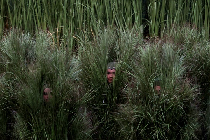 The performers' faces can be seen through the foliage as part of Bad Bunny's Super Bowl halftime show at Levi's Stadium on Sunday in Santa Clara, California.