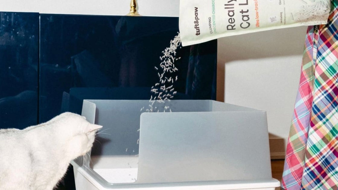 Tofu Litter May Be The Safest Option For Your Cat