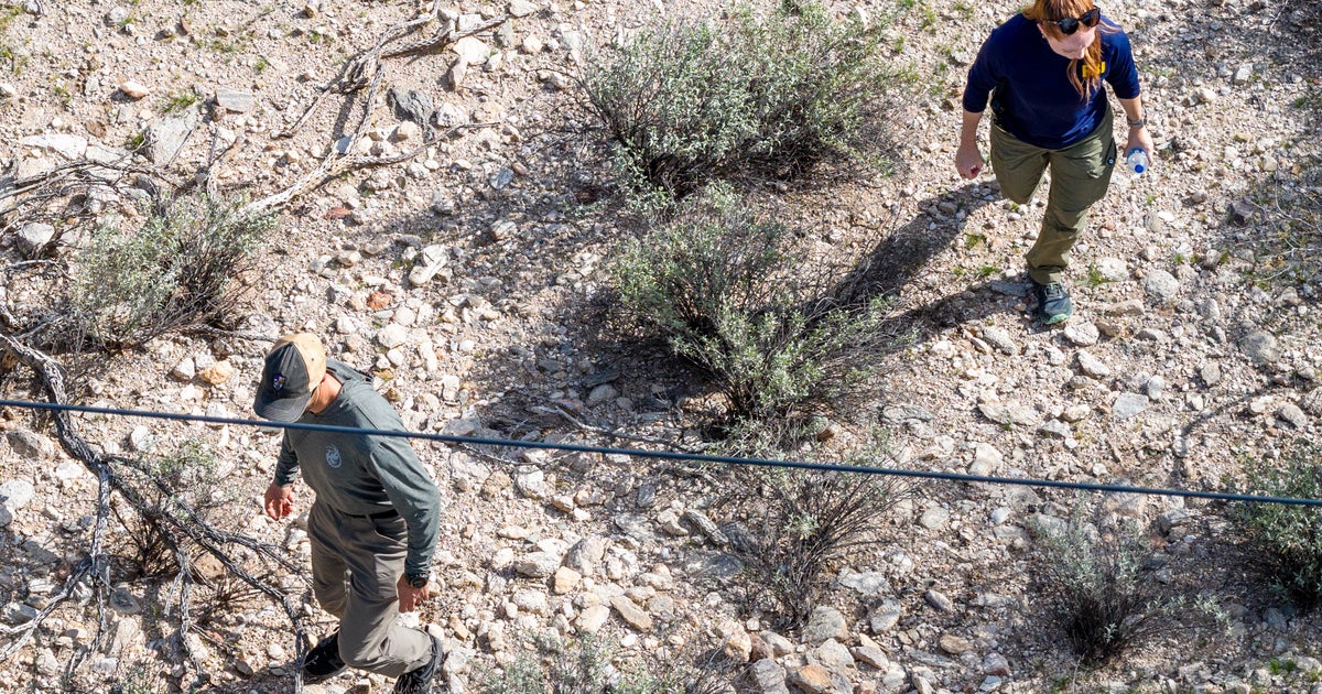 Investigators Fan Out In Search Of Nancy Guthrie, Analyze Discarded Glove