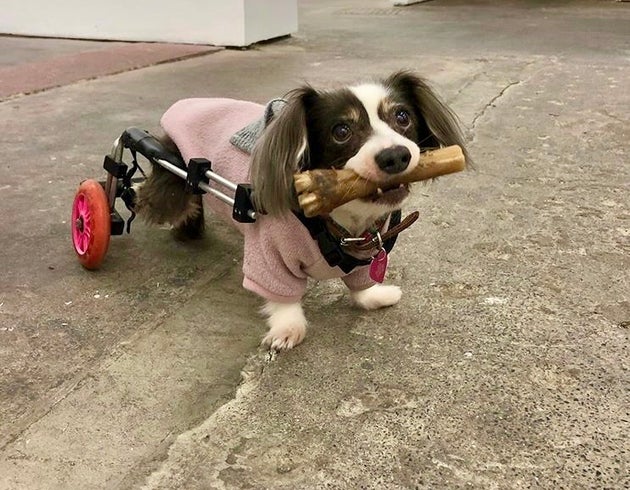 Maya at an art gallery opening in London, February 2020.
