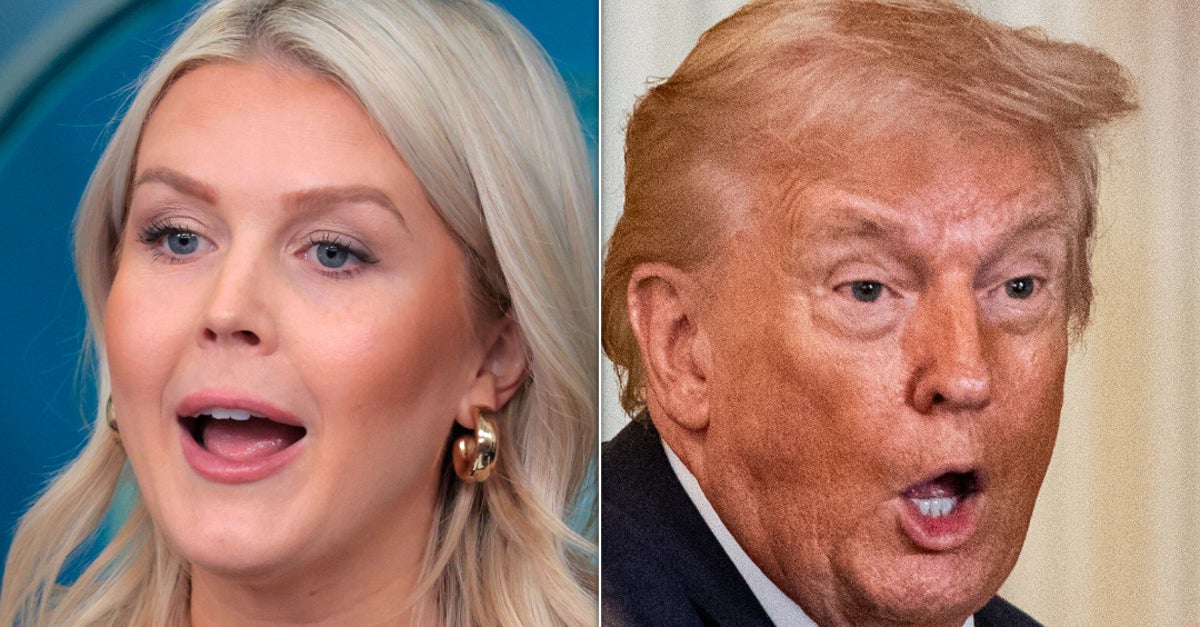 'She Said It': Karoline Leavitt Just Totally Undermined Trump's 'I Didn't Do It' Claim