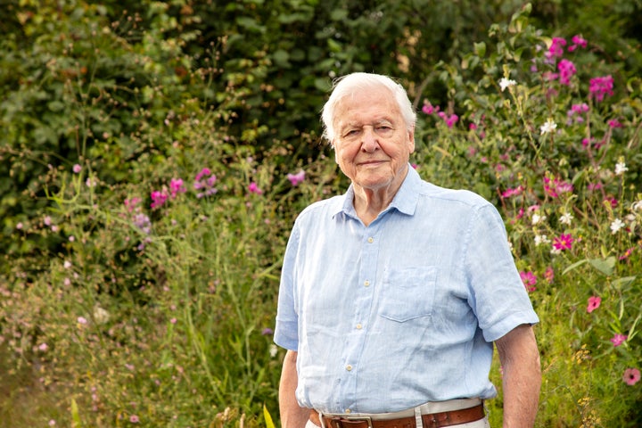 Sir David Attenborough pictured on the set of his new documentary Secret Garden