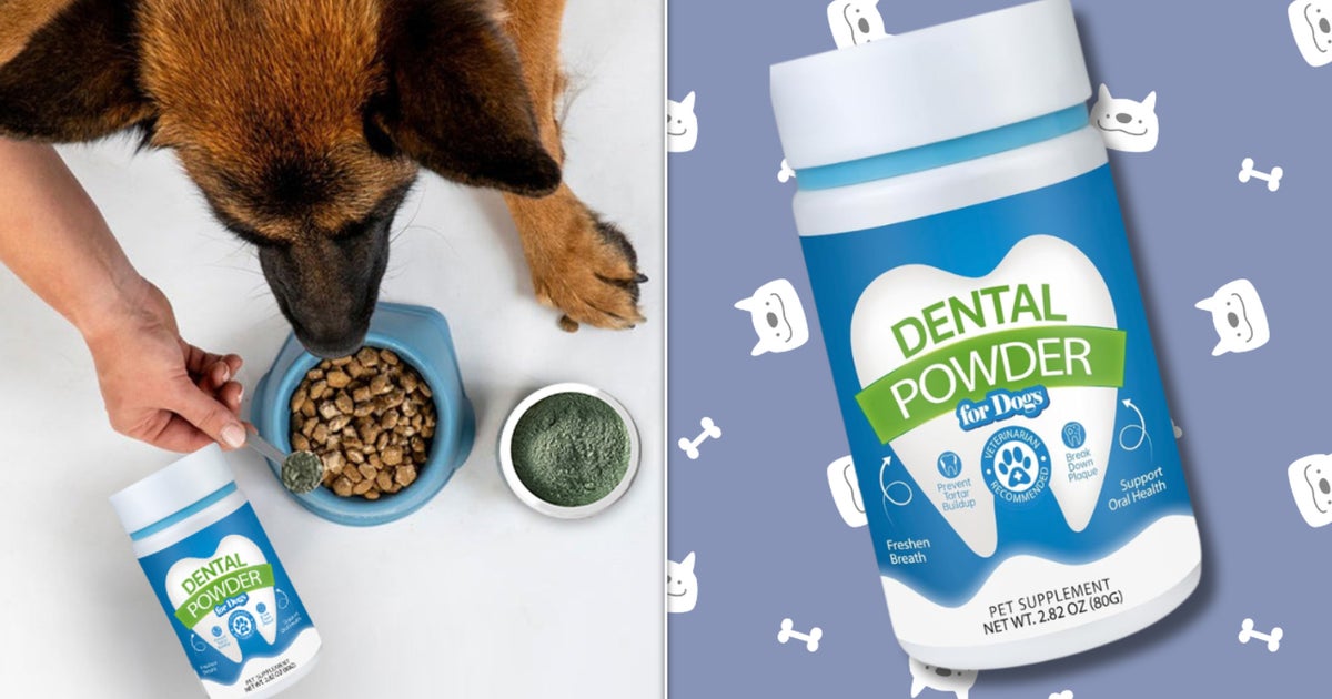 Brushing Your Pet's Teeth Doesn't Have To Be 'Impossible' Thanks To This 'Miracle Worker' Powder - HuffPost by Staff Writer, Shopping Editor