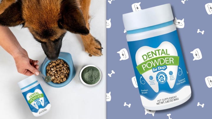 This On-Sale Dental Powder Is An Easy Way To Clean Dogs’ Teeth ...