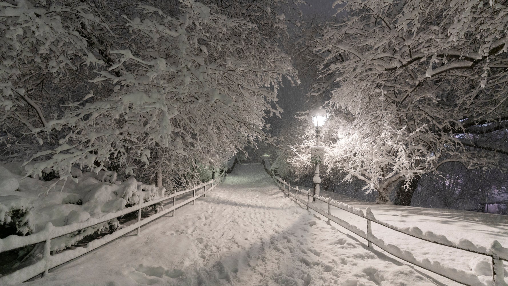 Northeast U.S. Paralyzed by Historic Blizzard, Travel Bans Enforced