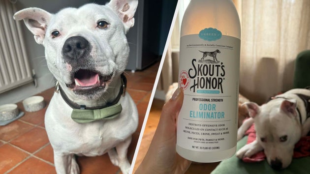 Chase the dog (left) and Skout's Honor odor eliminator (right)