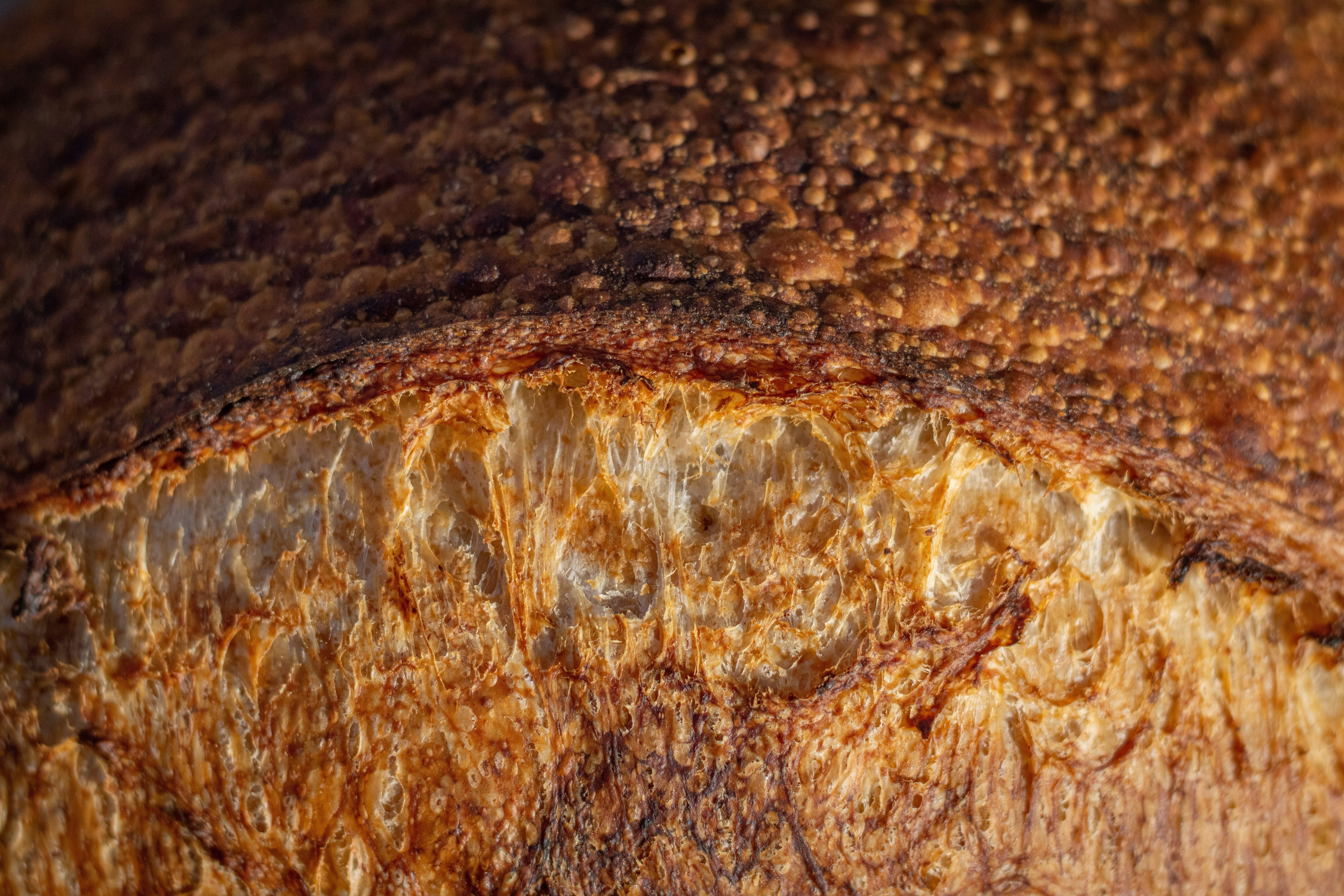 Sourdough, Brown, Or White: What's The Healthiest Type Of Bread?