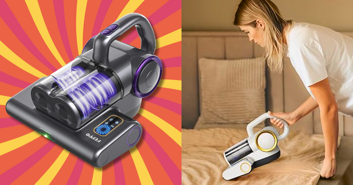This $70 Mattress Vacuum Lifts An ‘Embarrassing Amount Of Grossness’ From ...