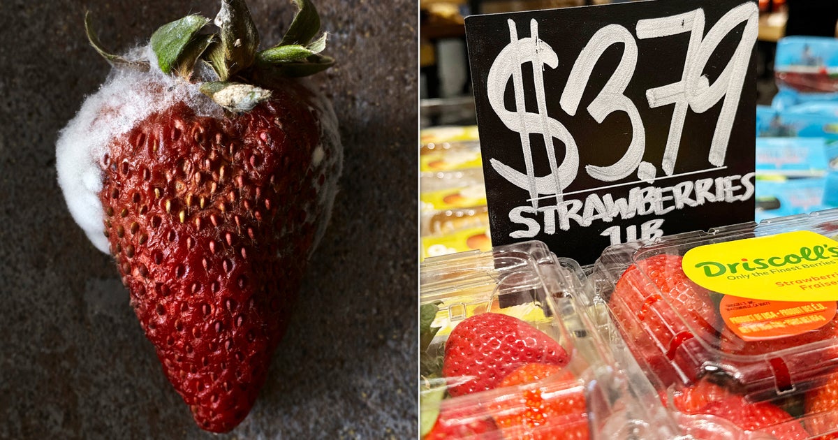 Trump’s Immigration Crackdown Has Triggered This ‘Chilling Effect’