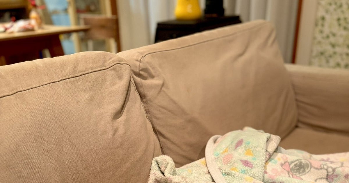 猫のユニークな寝相が話題に！