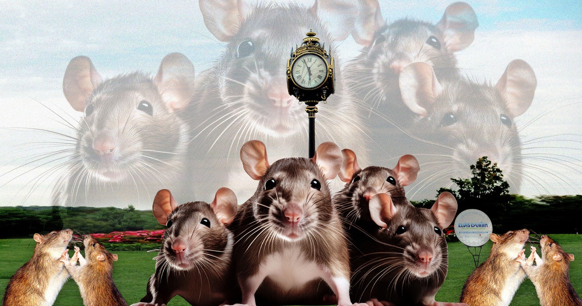 Insects, Rodents Tee Off Health Inspectors At Trump National Golf Club