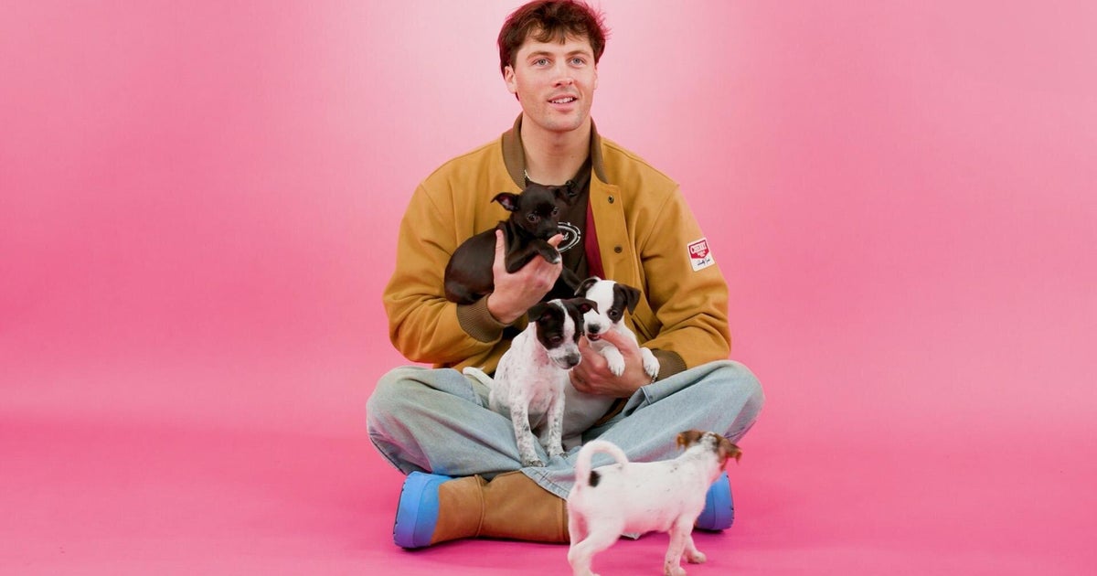 Rob Rausch Meow Rob Rausch: The Puppy Interview | HuffPost Videos