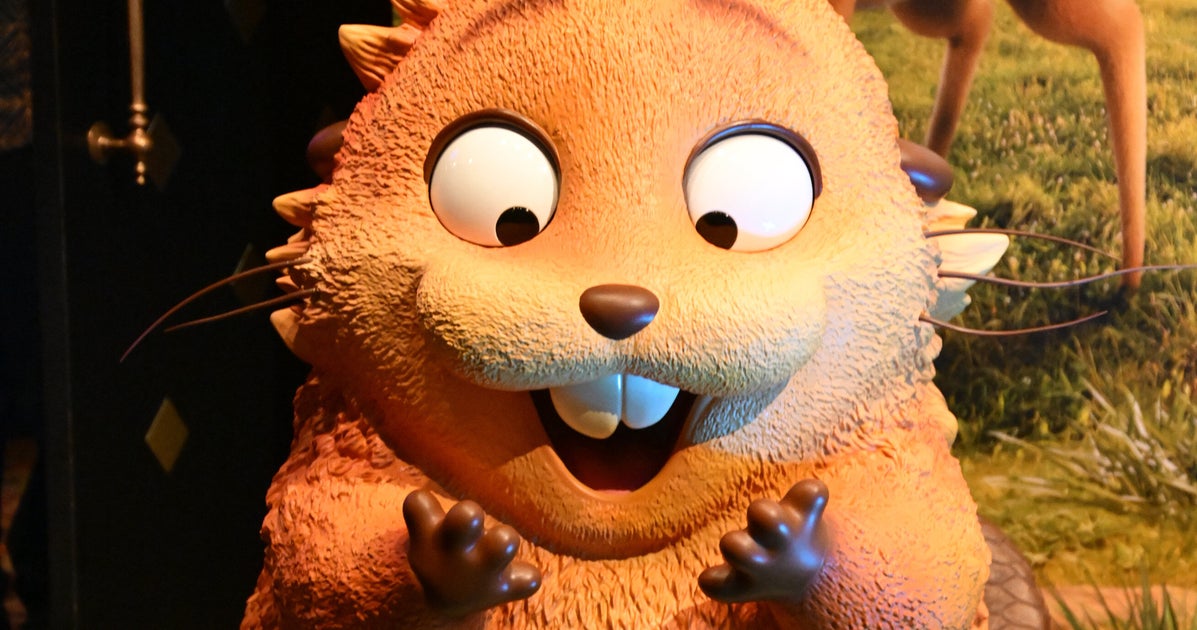 ディズニー＆ピクサー最新作『わたしがビーバーになるとき』、原案にあった“ジブリの世界観”が話題⇨「こっちの方が好き」の声も