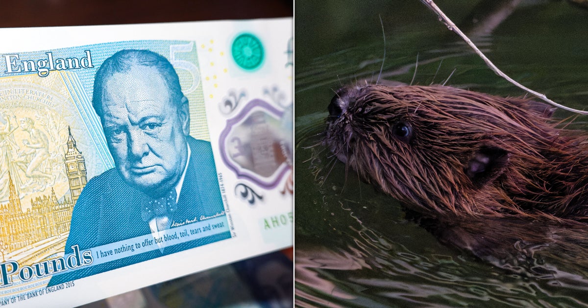 'Definition Of Woke': Britain Loses It Over Churchill, Beavers And Banknotes