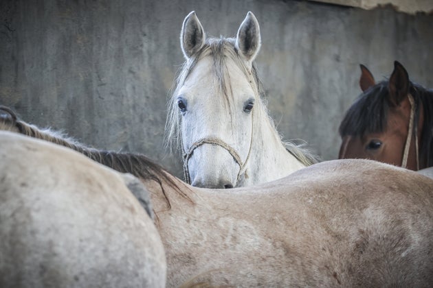 画像はイメージです。