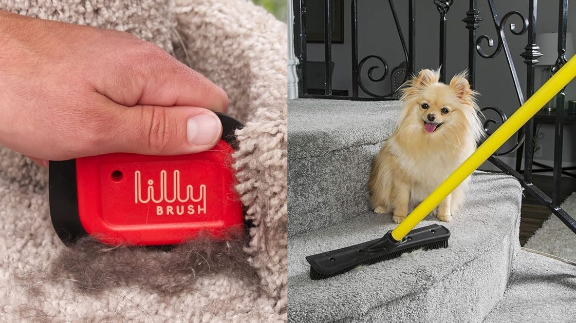 If Your Whole Life Is Covered In Pet Hair, Here Are 10 Remover Tools That Reviewers Swear By