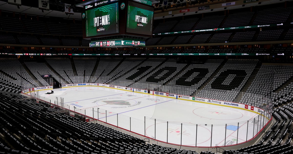 NHL: Minnesota Wild Reporter, Her 3 Children Killed In House Fire