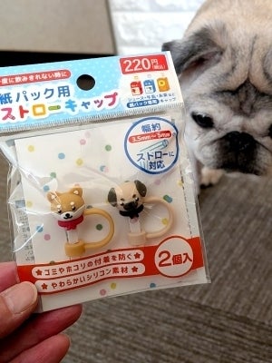 パグ好きが見つけた紙パック用ストローキャップが「可愛すぎる」と話題。子育て世代も「これいい」と注目