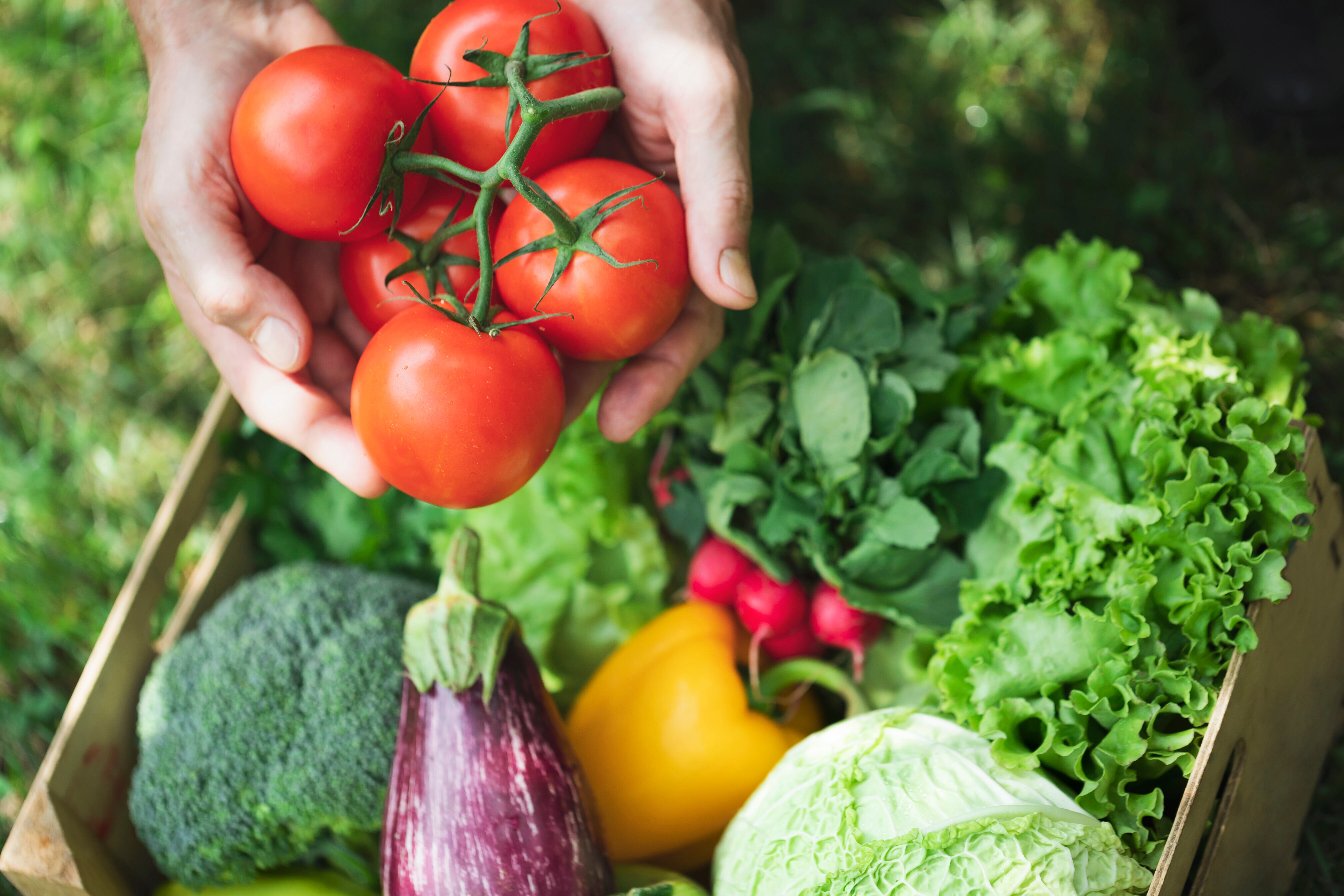 キユーピーが「野菜の下ごしらえ方法」の基本を写真付きで紹介。超分かりやすいから今すぐ保存して