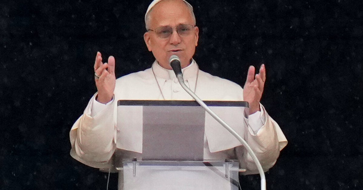 Pope Leo Urges Ban on Aerial Bombardment