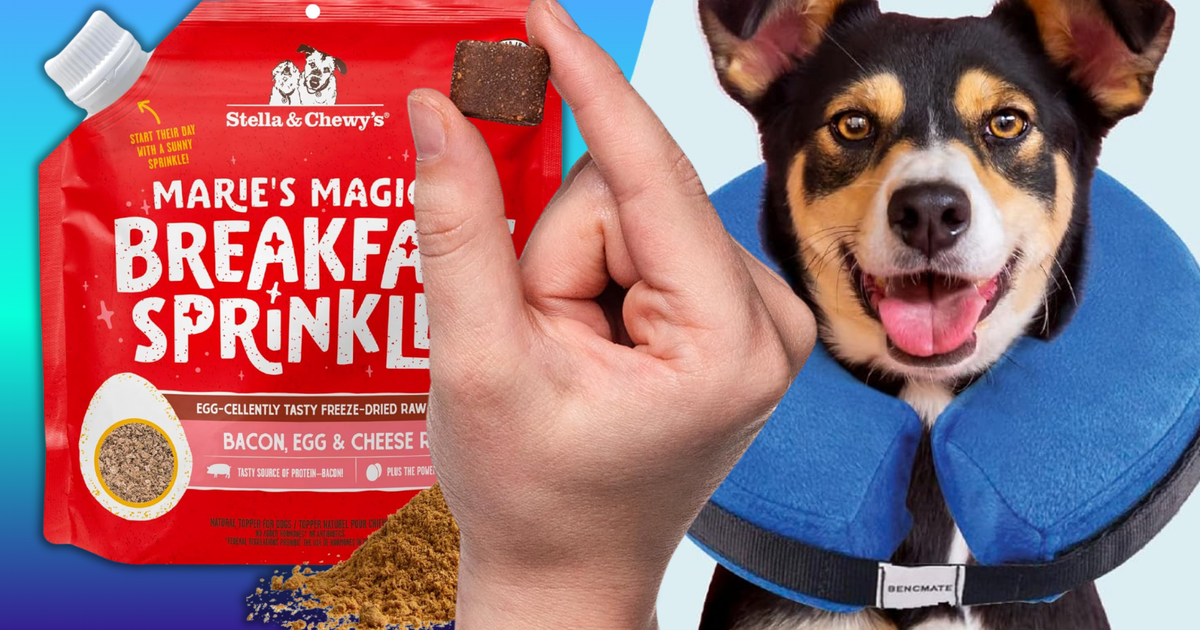 15 Best Pet Deals During Amazon&rsquo;s Spring Sale 2026