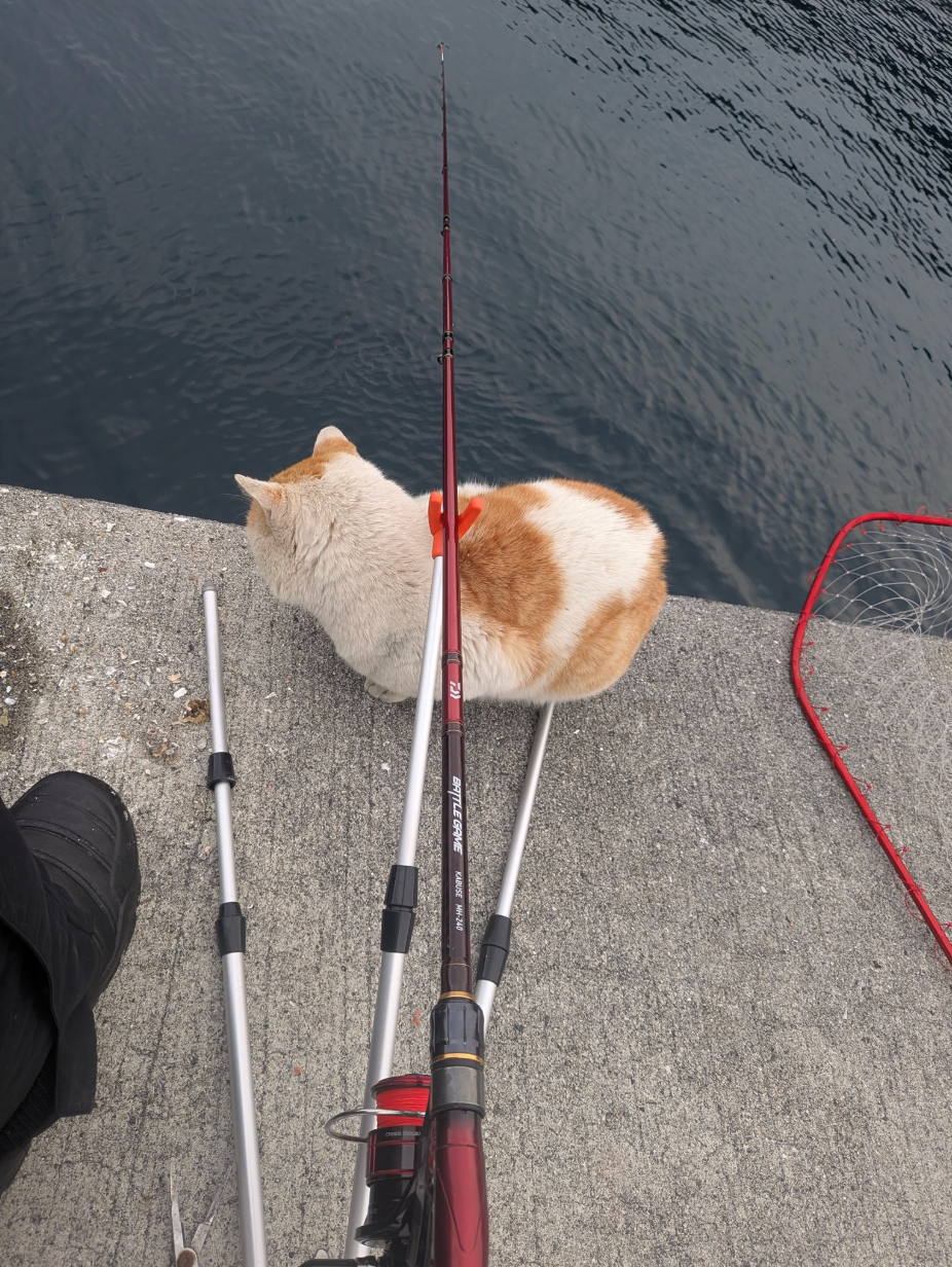 釣りをしていたら「ヤンキー」に絡まれた⇒「絶対に釣れた魚カツアゲされる」その正体は…？