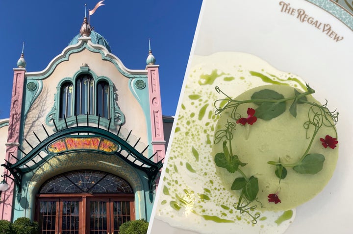 The Regal View restaurant and my starter – avocado and ginger mousse, mango tartare and pumpkin seed crumble with creamy dill oil sauce.