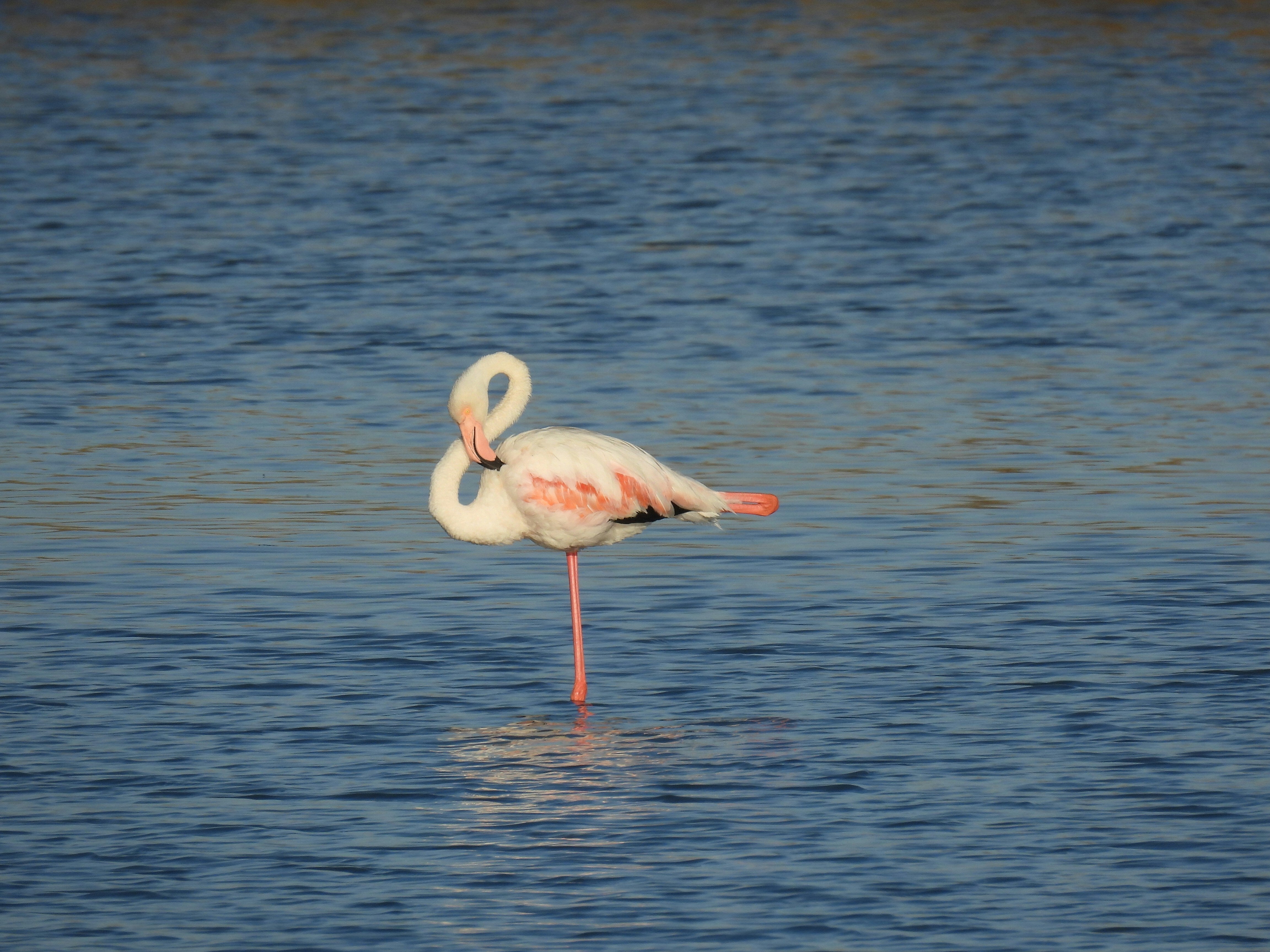 Six Science-Backed Tests To Show How Well You're Ageing