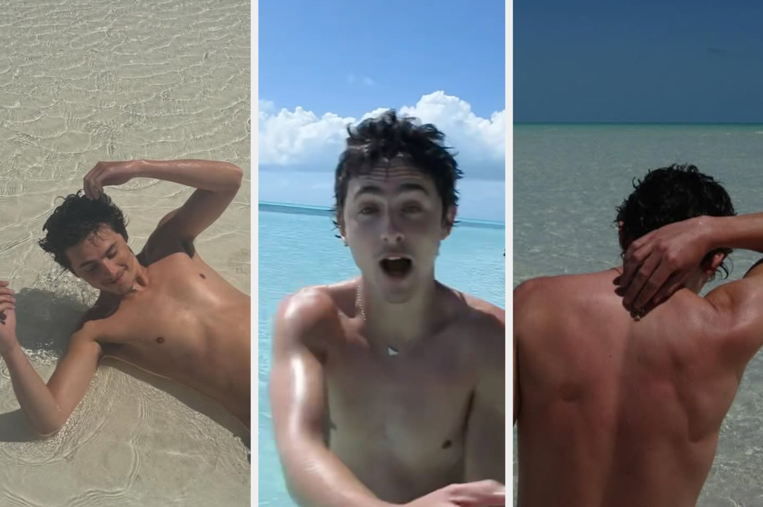 Timothée Chalamet Puts Troublesome Month Behind Him With Carefree Beach Photos