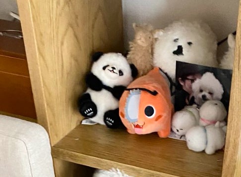 この中に本物の犬がいます⇨ぬいぐるみの棚に紛れた「ふわふわ犬」に「どこ？」と二度見してしまう