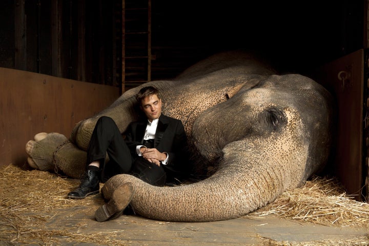 Robert Pattinson in Water For Elephants