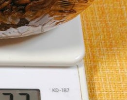 焼きそばパンの概念を超える「焼きそばパン」が衝撃的⇨その見た目に「パンというより...」の声