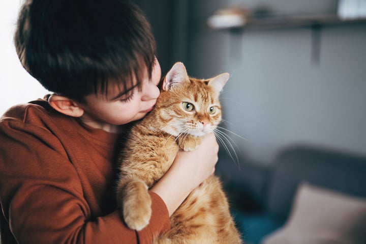 If you're allergic to cats and still want one, consider talking to an allergist about your treatment options. 