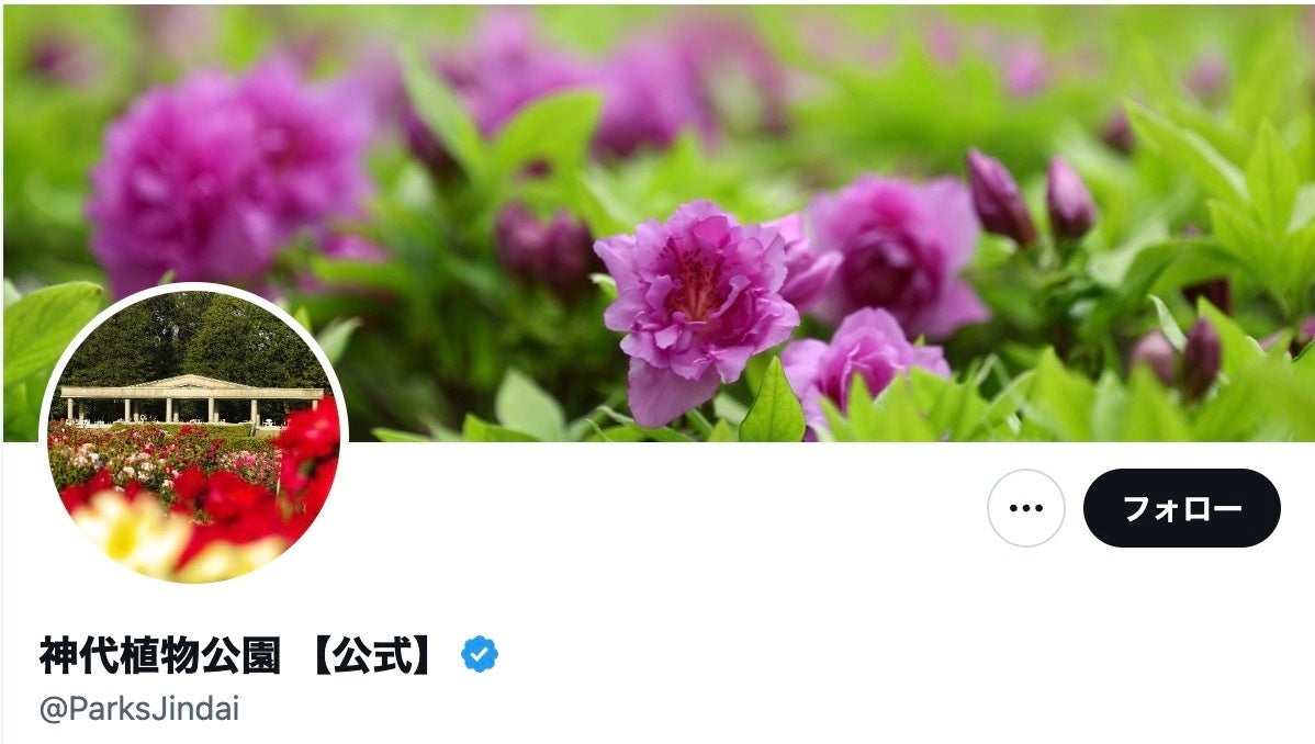 葉桜？いえ「緑の桜」が見ごろです⇒「初めて見ました」東京・調布の植物公園の投稿が珍しすぎた