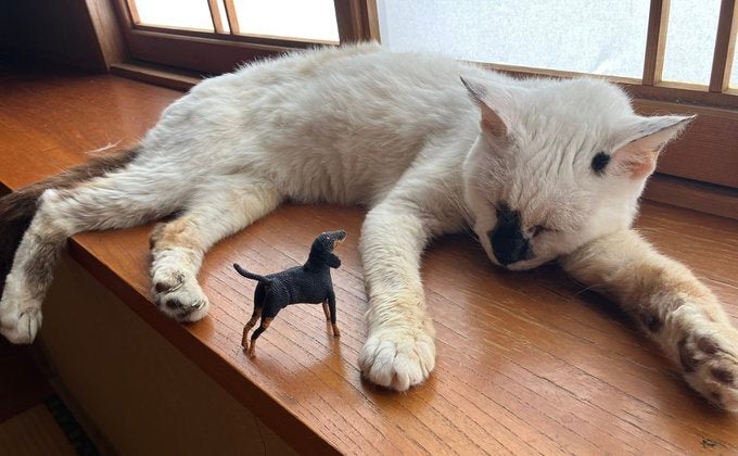 刺繍糸で手作りした“編みぐるみ”が繊細すぎる⇨シームレスな立体に「見たことない！」「愛犬を思い出した」と反響