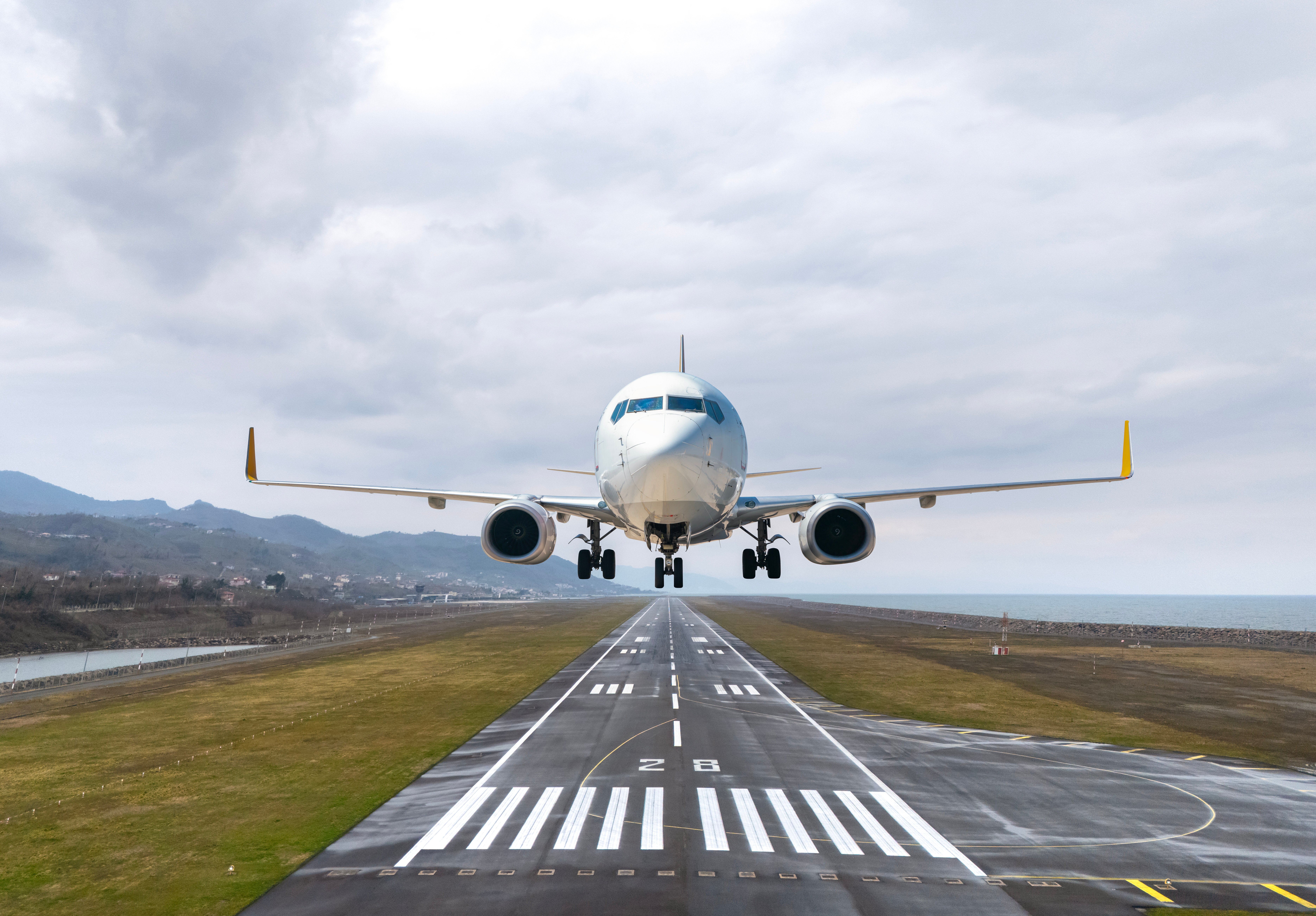 米飛行機が「エンジンの問題」で離陸できず⇒原因は「無数の...」養蜂家が出動する事態に