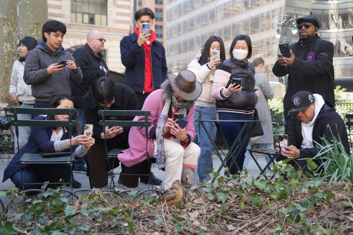 Visitors film an American woodcock, a viral hit on social media, as it appears in Bryant Park on Wednesday.