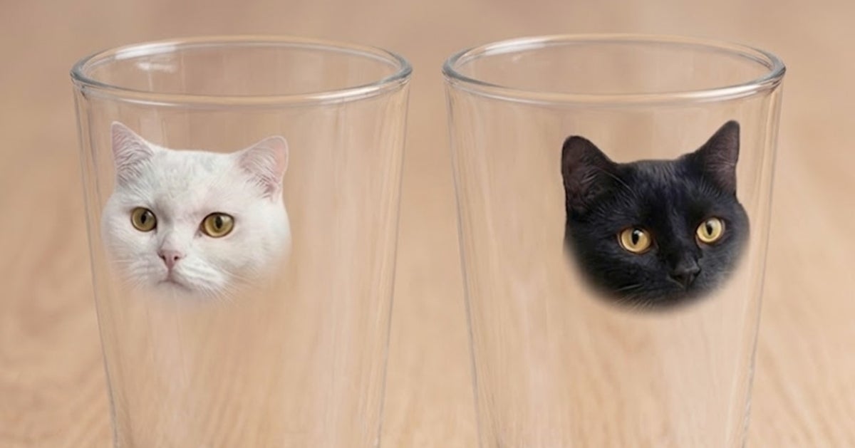 液体猫になるグラスが話題！猫好きが共有したいアイデア