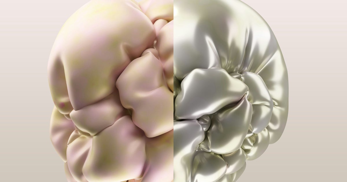 Scientists Have Found A Protein That Fuels Brain Ageing, And They Can Counter It