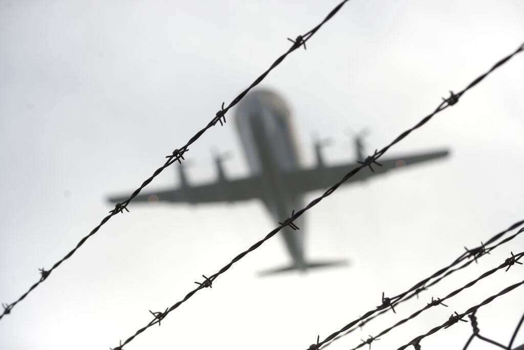 「スーパーグッピー」の“ビジュ”が衝撃すぎて……。規格外の見た目にSNS「戸惑う」「大笑いしちゃった」