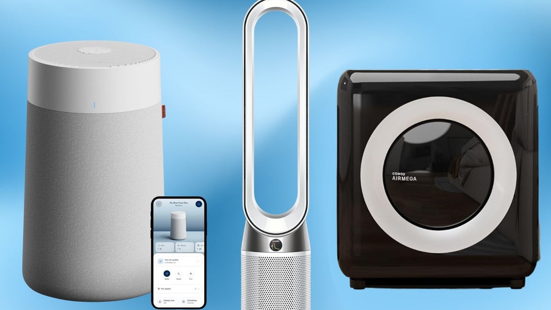 People With Asthma And Allergies Share The Air Purifiers That 'Actually ...