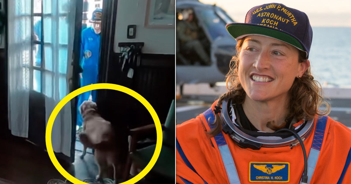 Video Of Astronaut Christina Koch’s Dog Greeting Her After Moon Mission Is ...