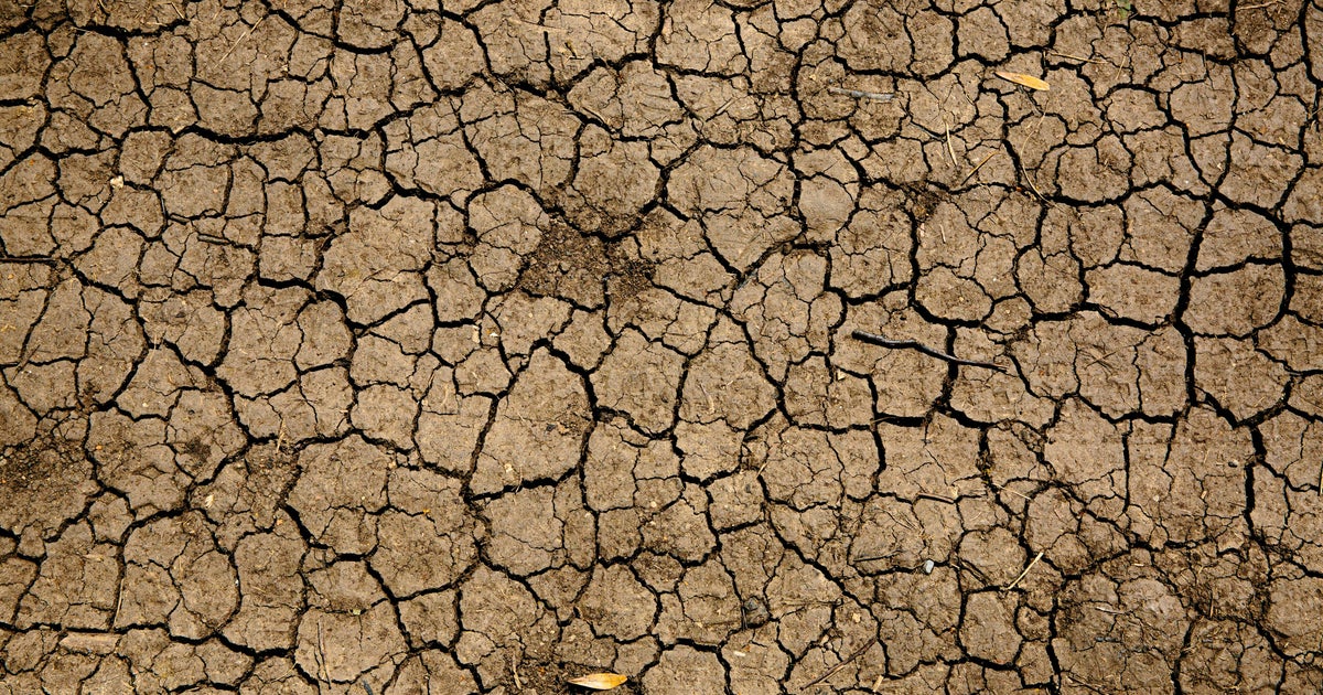 Super El Niño 2026: What It Means And What To Expect Super El Niño 2026: What It Means And What To Expect
