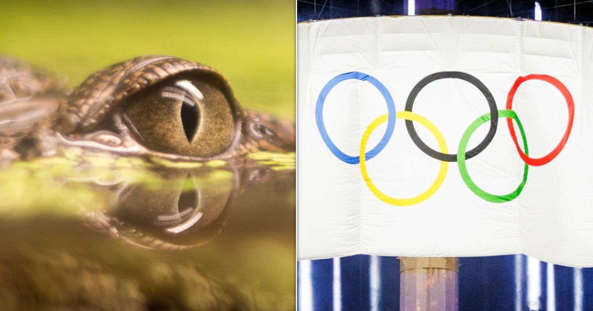 Danger Lurks At This 2032 Olympics Rowing Venue But Organizers Aren’t Budging Danger Lurks At This 2032 Olympics Rowing Venue But Organizers Aren’t Budging