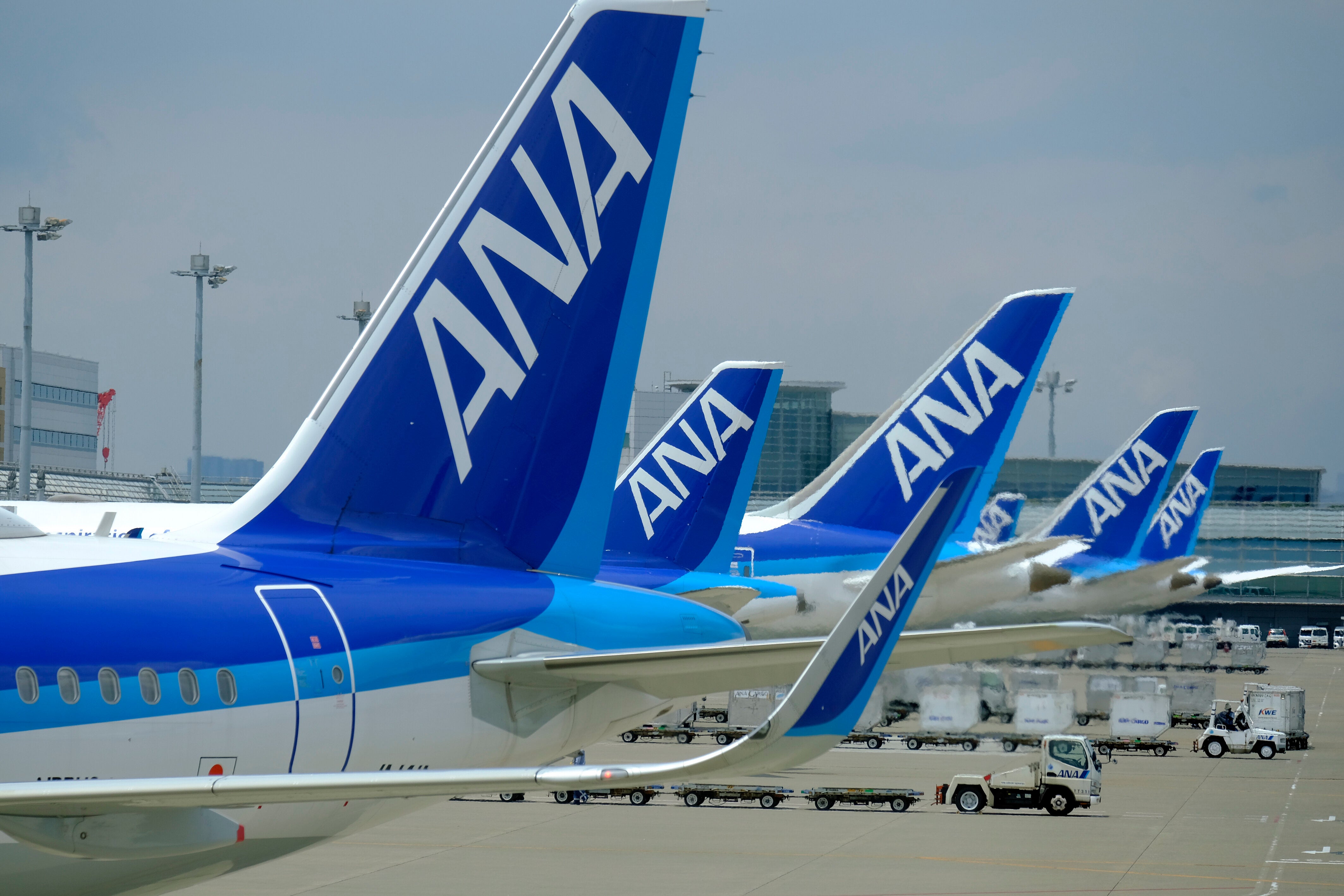 ANAの国内線ルール、幼児無料⇨「1歳まで」に変更へ。いつから？JALは？子育て世帯に衝撃