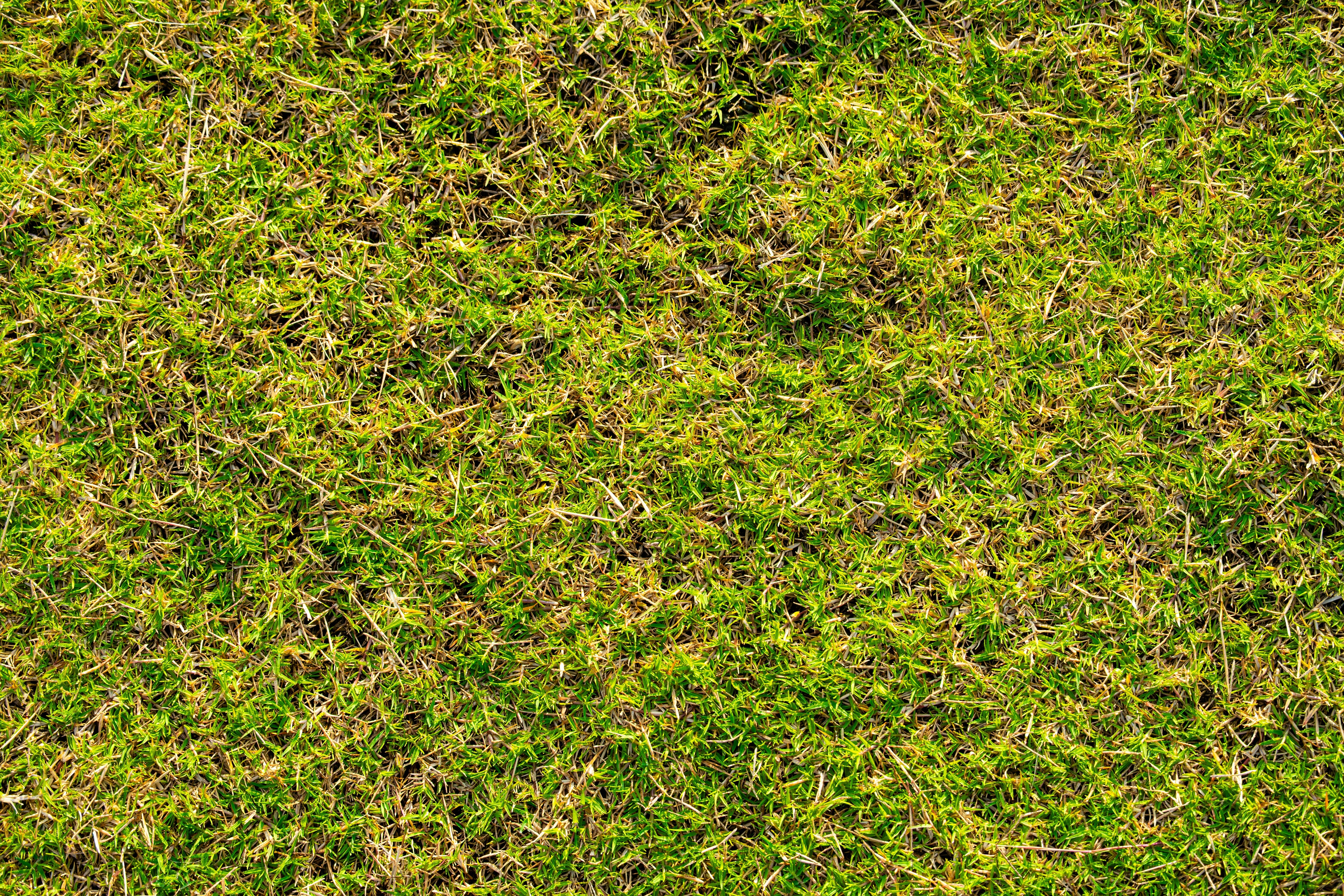UK Gardeners Warned To Check For Footprints On Their Lawn